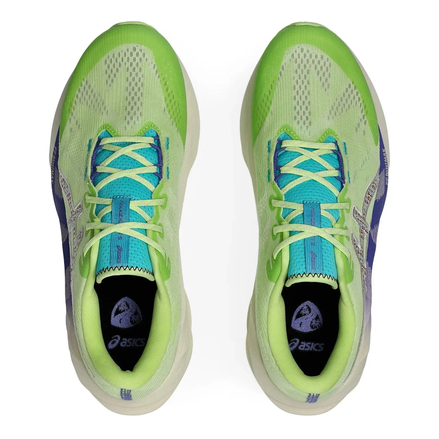 ASICS Novablast 5 TR Mens Road Running Shoes Old Asics Cheerleading Shoes