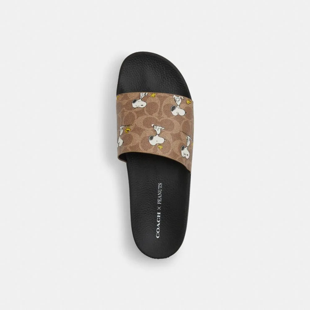 Coach Coach X Peanuts Pool Slide In Signature Canvas With Snoopy Print Tan Oxford Shoes Casual