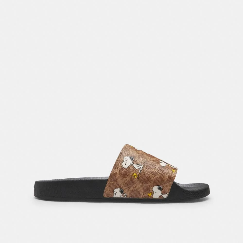 Coach Coach X Peanuts Pool Slide In Signature Canvas With Snoopy Print Tan Casual Work.shoes