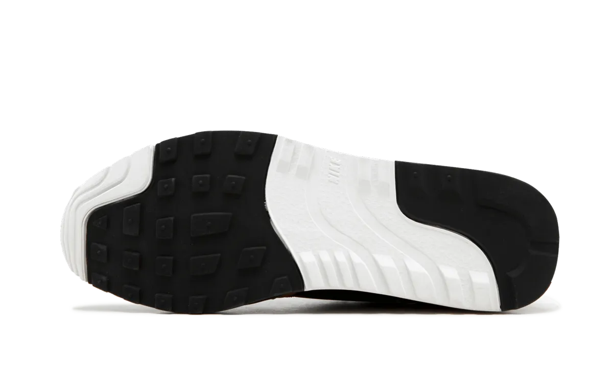 Paul Rodriguez Nike Sb Shoes Air Safari QS