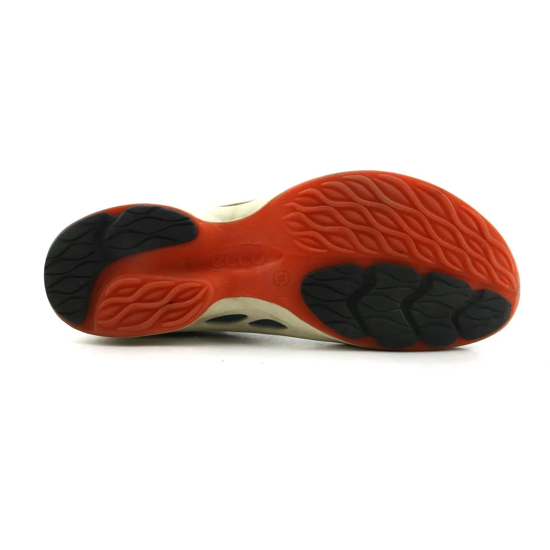 Best Running Shoes For Training ECCO BIOM FJUEL RACER
