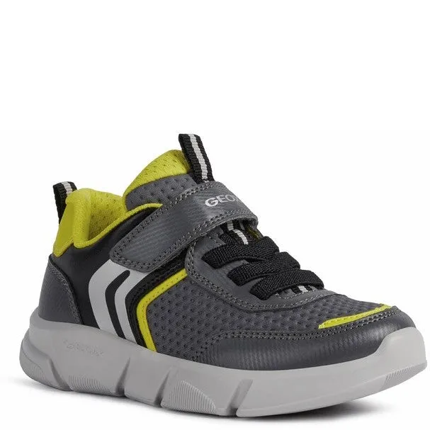 Gym Training Shoes Adidas Geox Aril Shoes