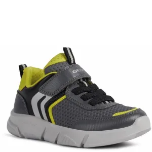 Geox Aril Shoes Nike Legend Trainer Shoes