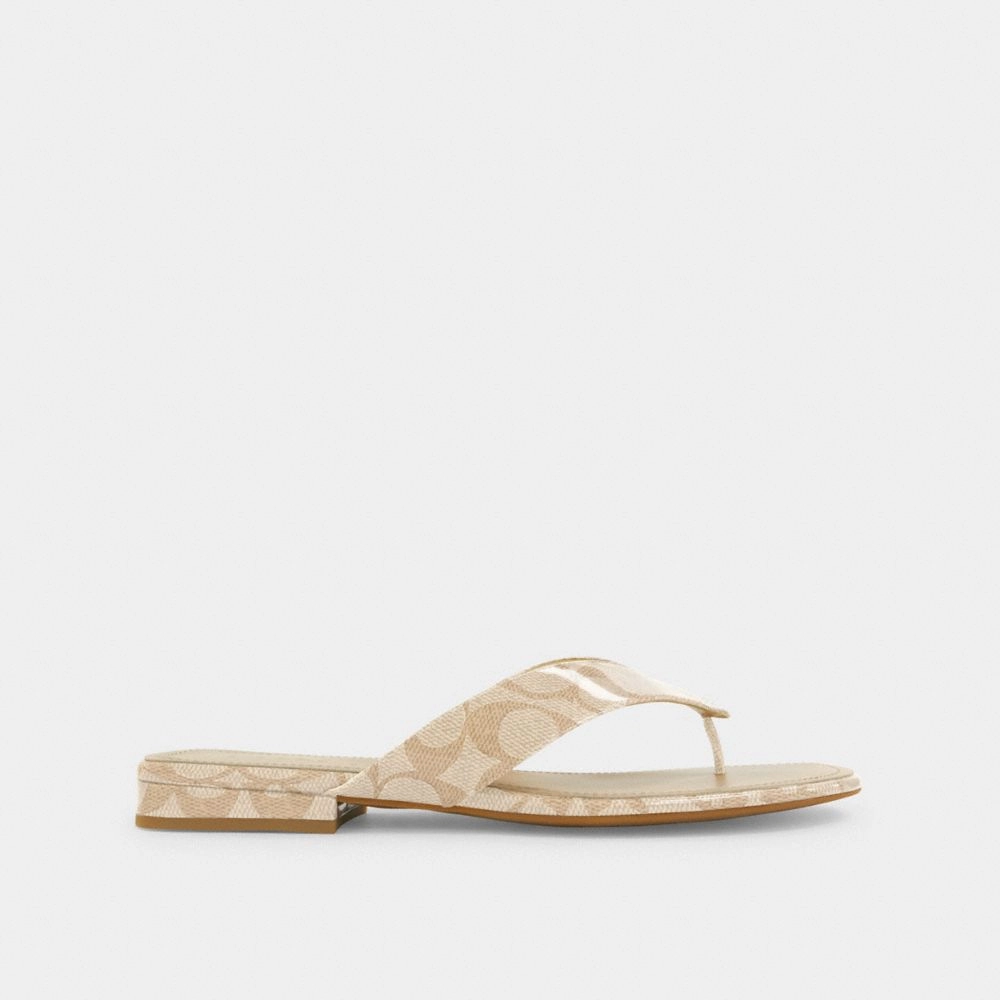 Casual Shoes Types Name Coach Bridgette Sandal In Signature Canvas Beechwood