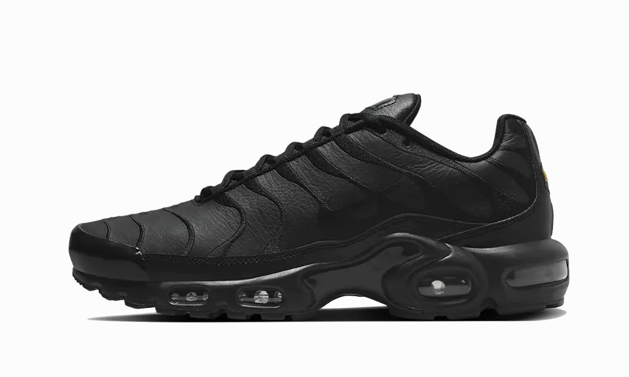 Cleanest Nike Shoes Nike Air Max Plus Triple Black Leather