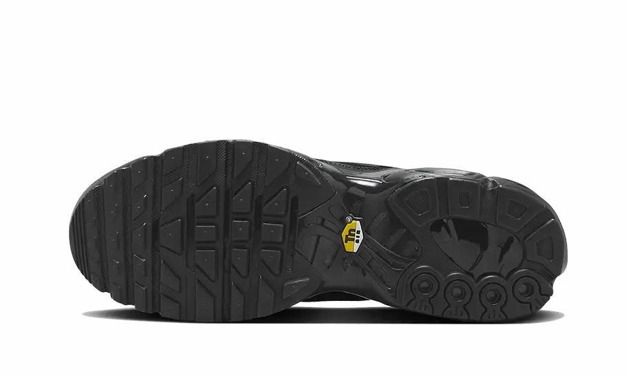 Nike Air Max Plus Triple Black Leather Nike Zion Shoe