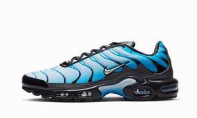 Nike Costliest Shoes Nike Air Max Plus Blue Gradient