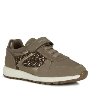 Trainer Shoes New Balance Geox Alben Girl Elastic Laces Shoes