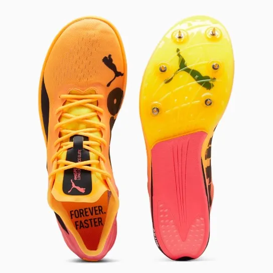 Puma evoSPEED NITRO Elite 2 Puma Momenta Training Shoes