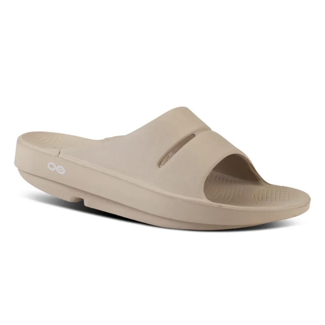 Hydrangea Quercifolia Oofos OOahh Slider - Unisex