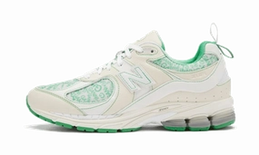 New Balance 2002R GANNI Turtledove Green New Balances