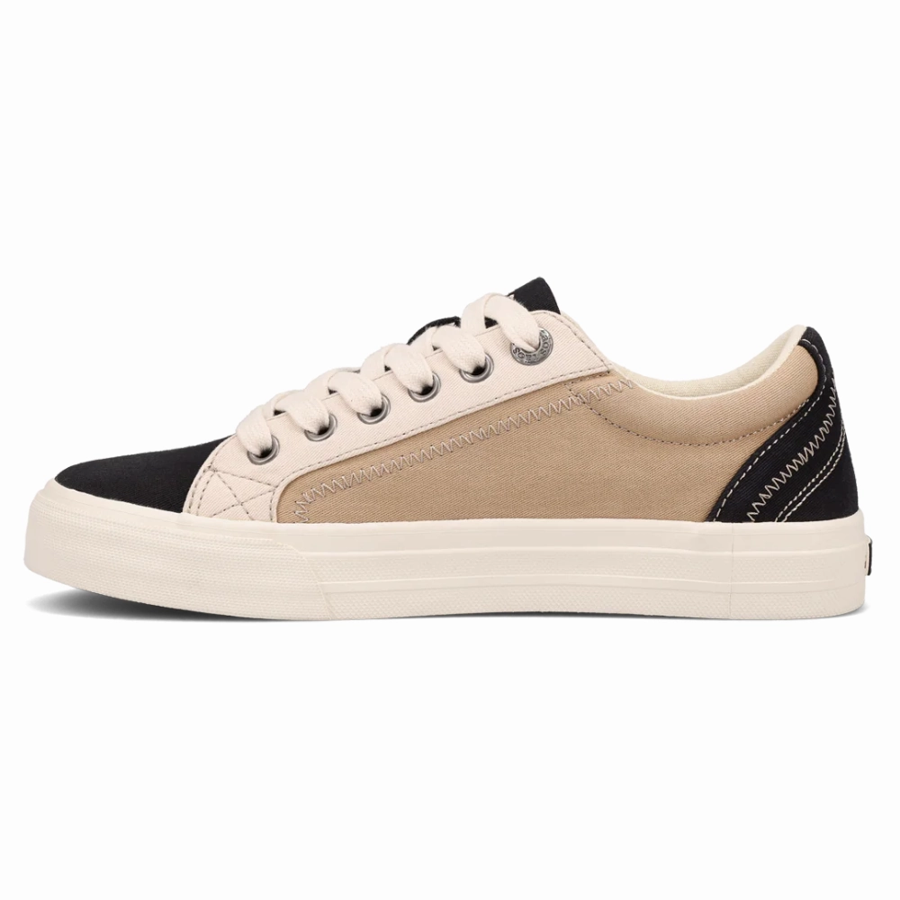 Taos Plim Soul Black/Tan Multi Canvas Sneaker (Women's) Casual Western Shoes