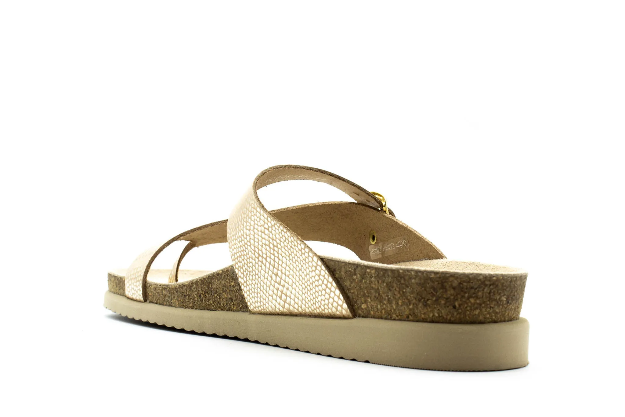 MEPHISTO Helen Barbados Resort Map